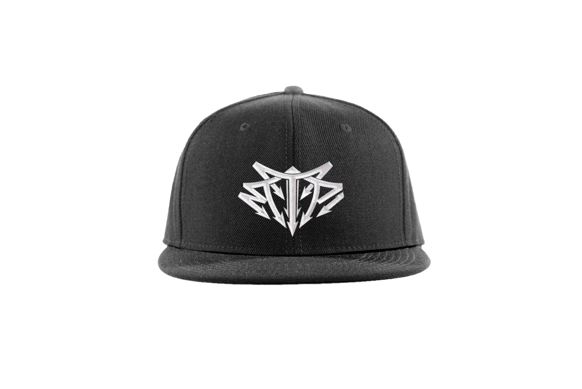 To The Point Records - Snapback Hat - Official 2016