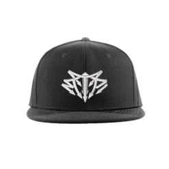 To The Point Records - Snapback Hat - Official 2016