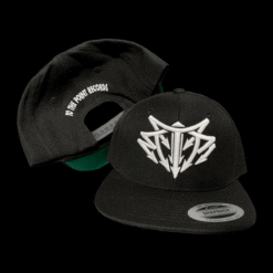 Official To the Point Records Snapbacks - TTP Snapbacks